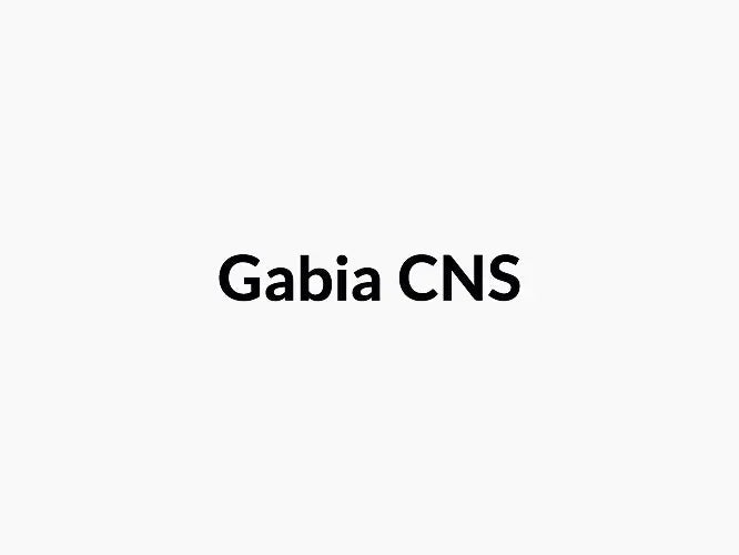 Gabia-CNS BridgeSeven