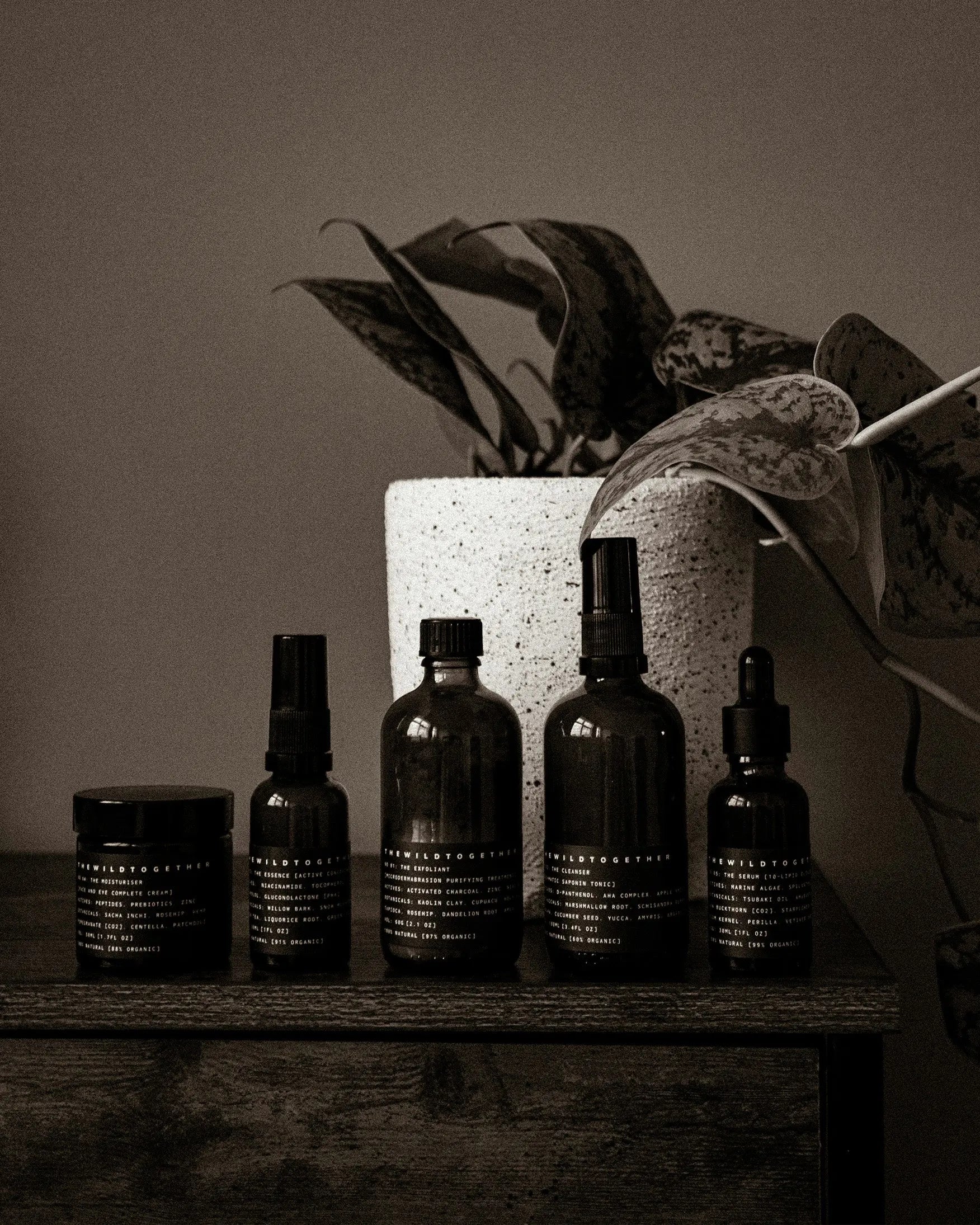 BEAUTYMAX BridgeSeven