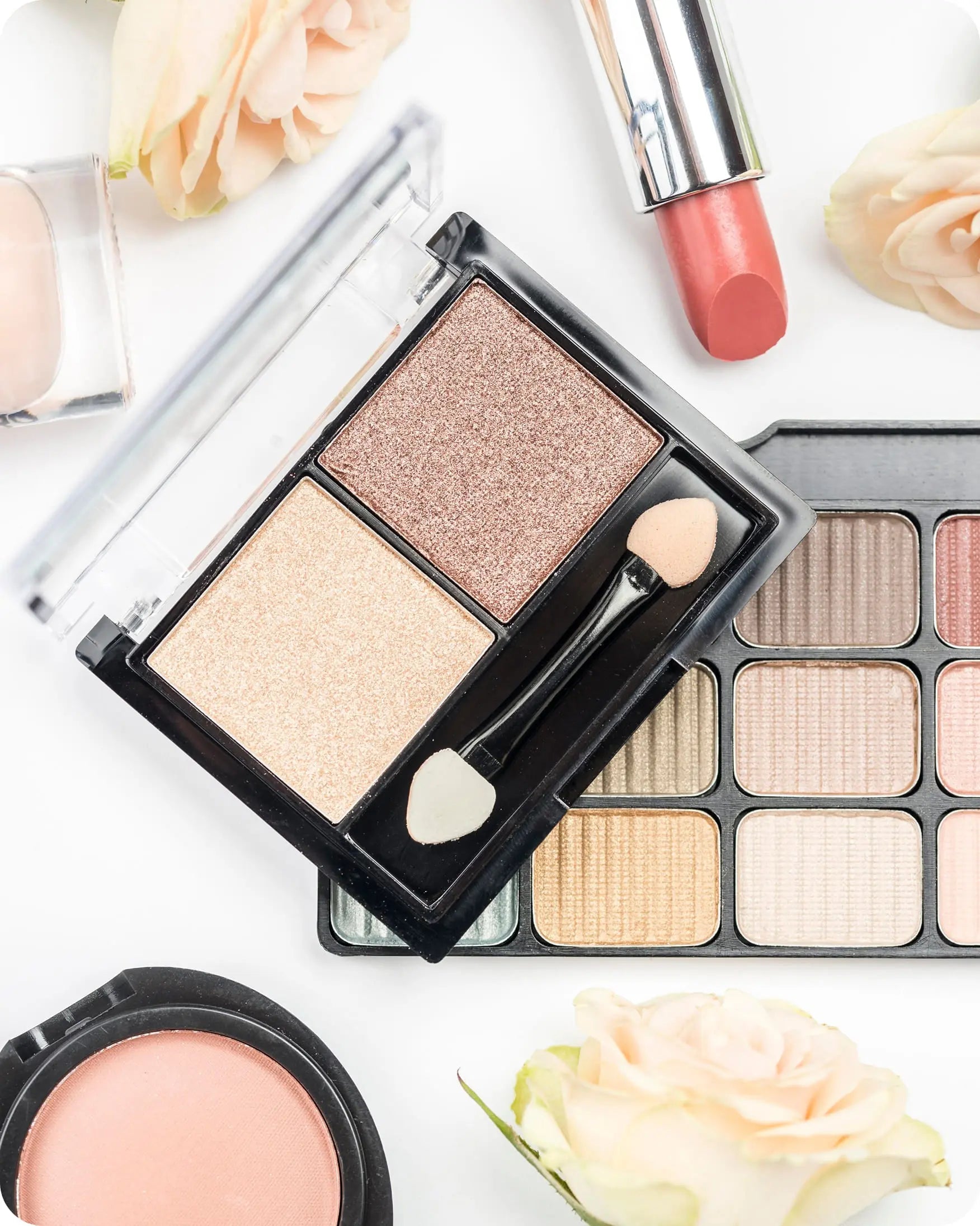 Dafodil.Co BridgeSeven