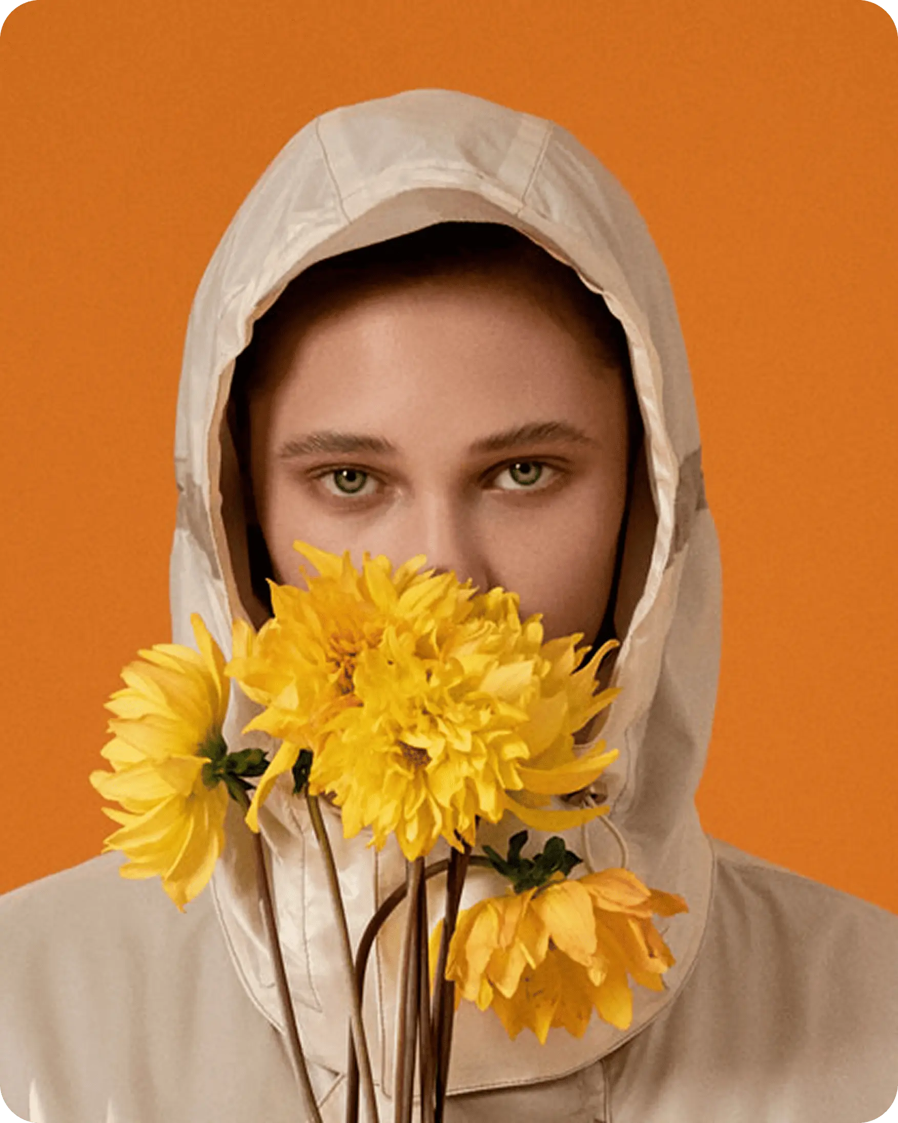 Nayėh Shop BridgeSeven