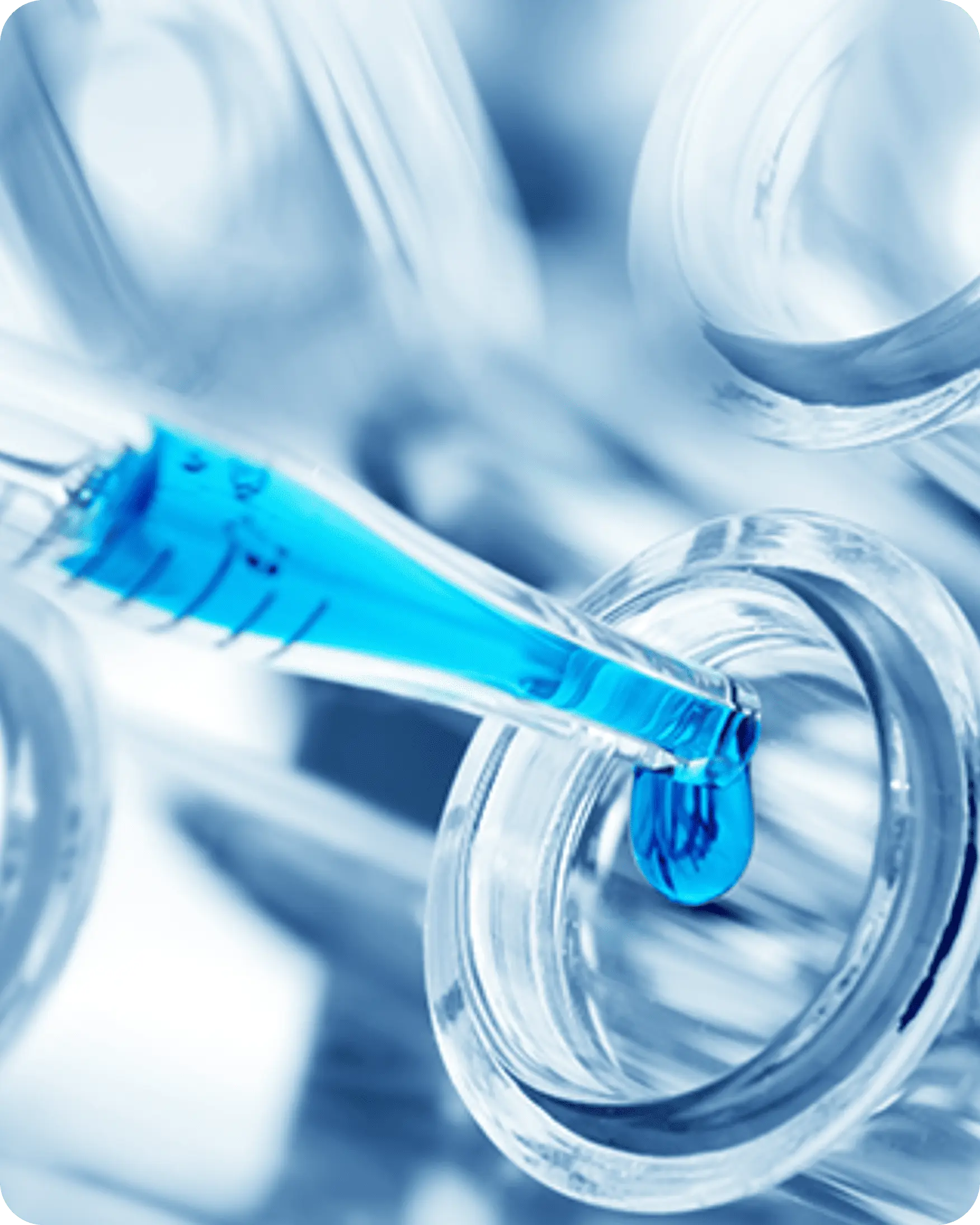 PHYTOWAY BridgeSeven