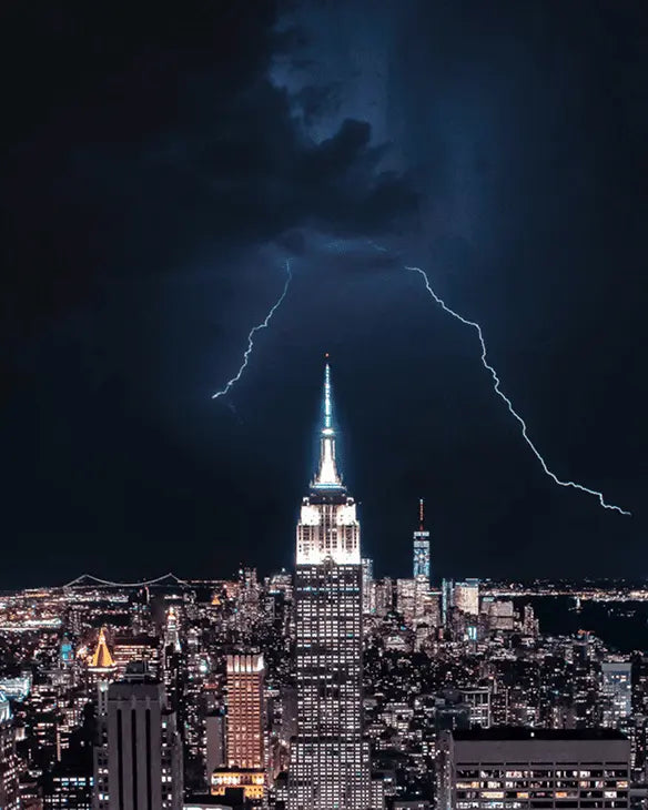 SURGEFREE BridgeSeven