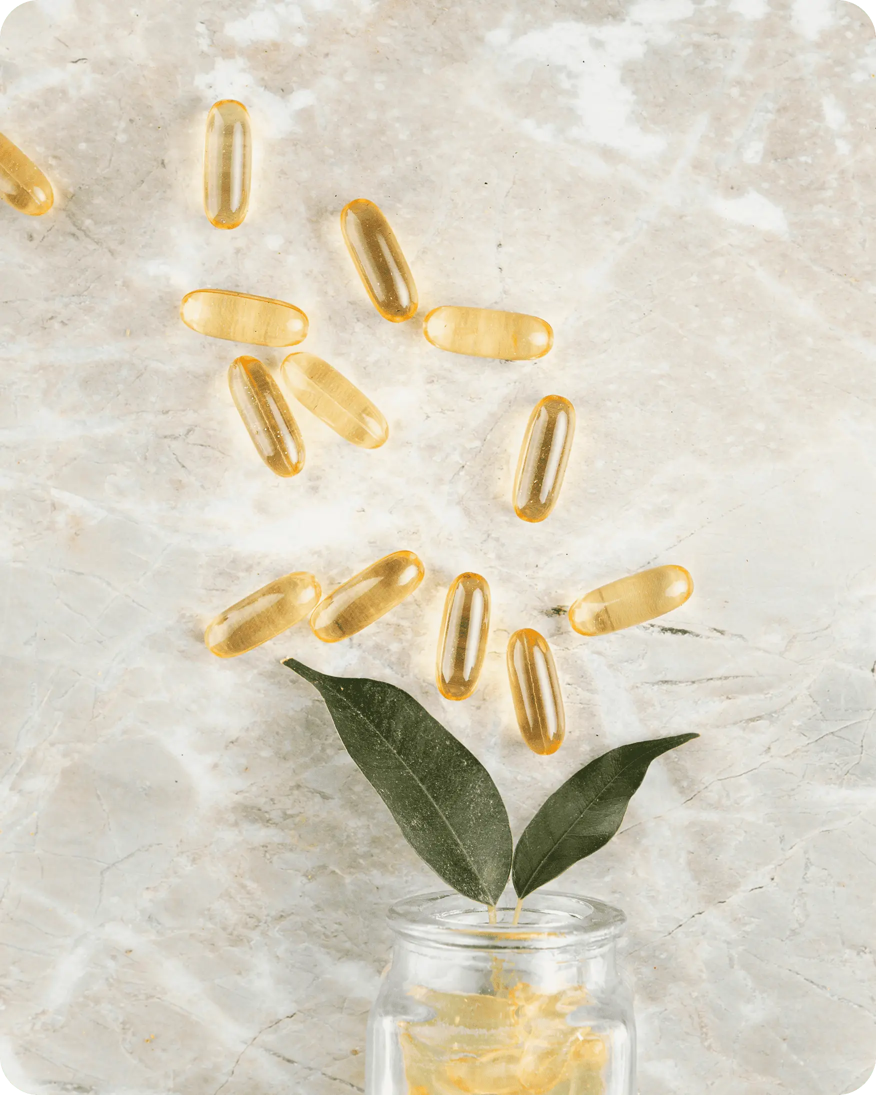 VITACOUNTRY BridgeSeven