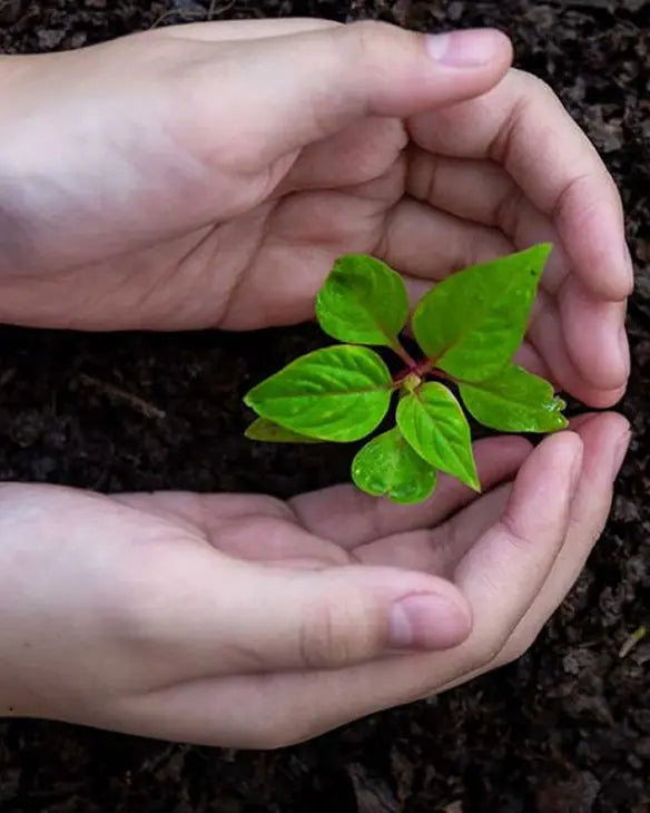 부천희망재단 BridgeSeven