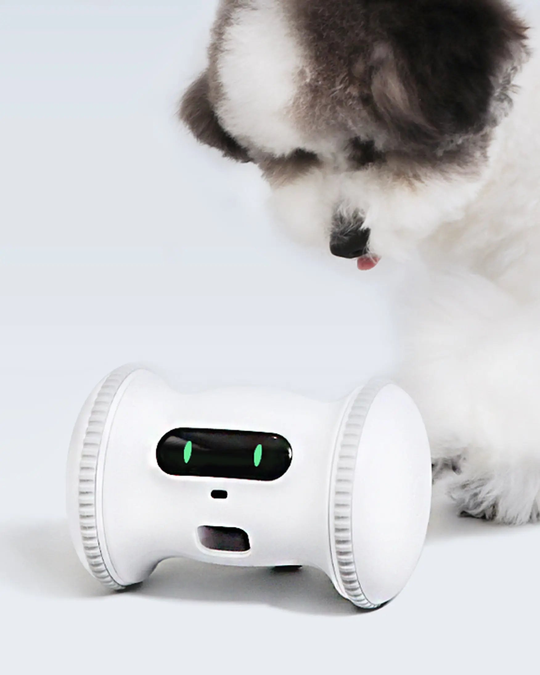 바램시스템 BridgeSeven