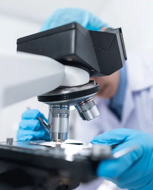 에피바이오텍 BridgeSeven