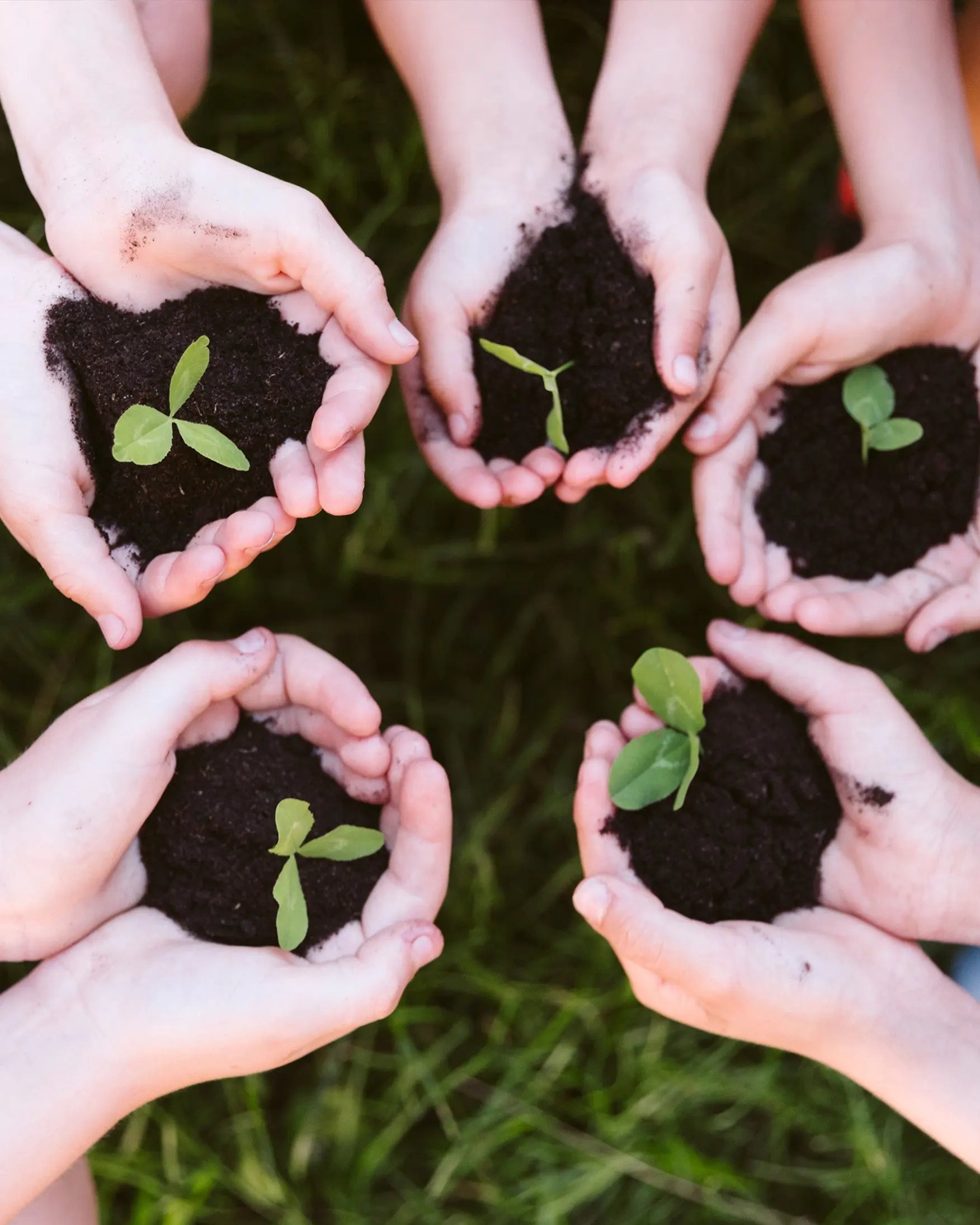 오병이어 복지재단 BridgeSeven