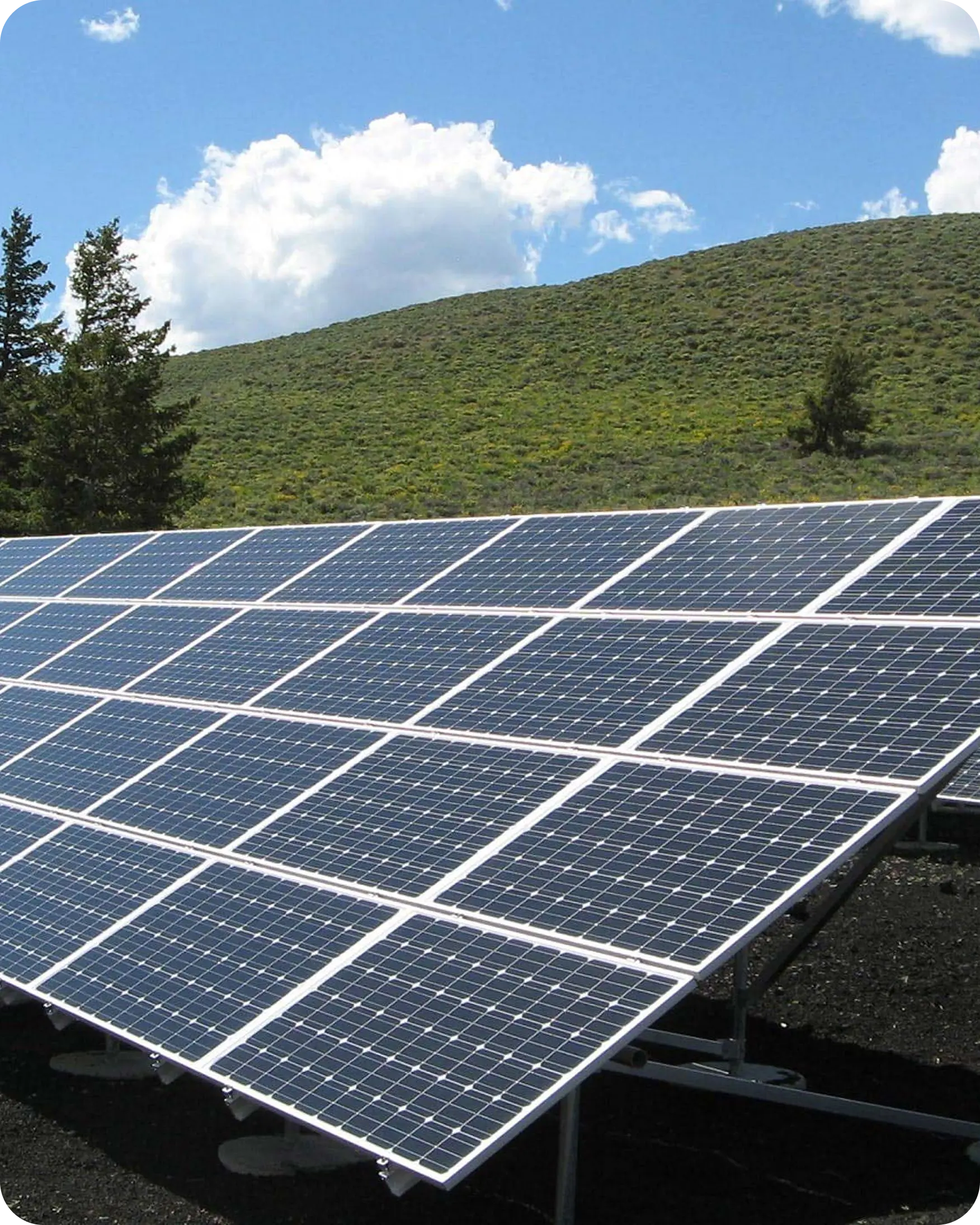 Mega Elec BridgeSeven