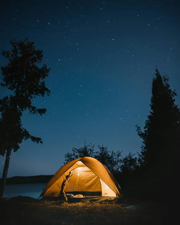 M Powered Korea BridgeSeven