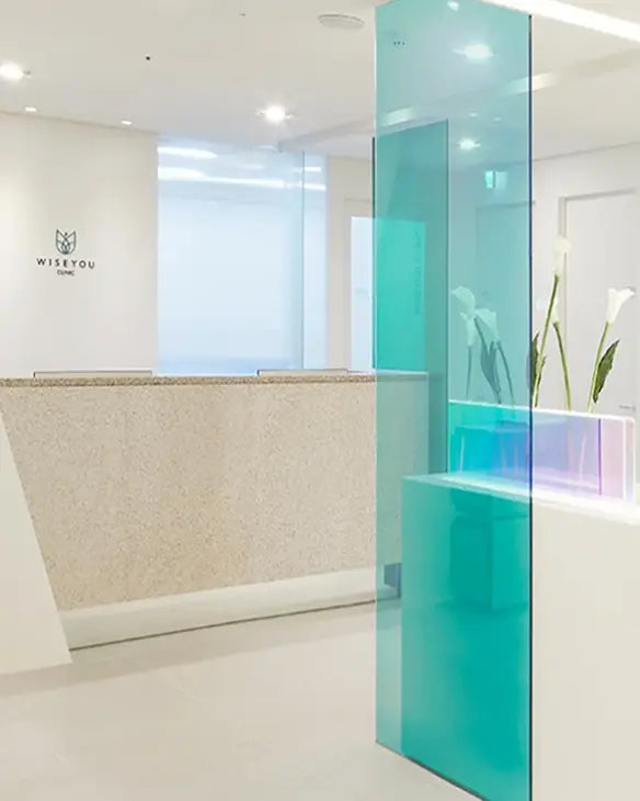 WISEYOULAB BridgeSeven