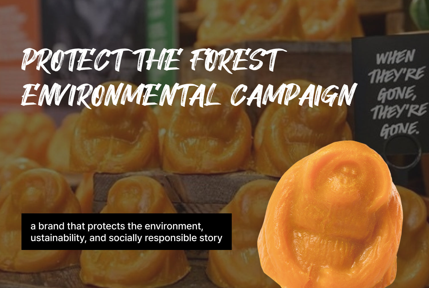 LUSH 오랑우탄 비누